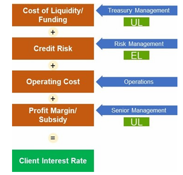 Risk-Adjusted Return on Capital (RAROC).