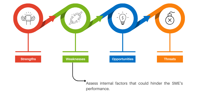 Identify Weaknesses: Assess internal factors that could hinder the SME’s performance.