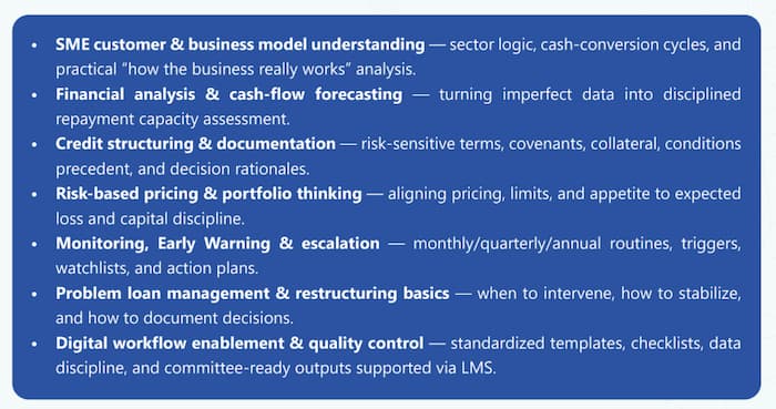 The SME Finance Excellence Program